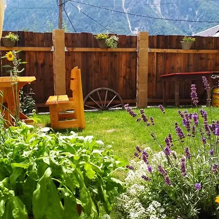 Country house Country House Dovje