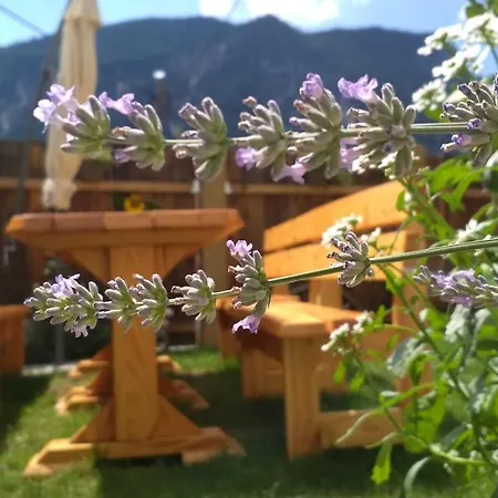 Country House Dovje Dovje