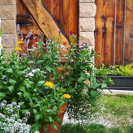 Country House Dovje Landhuis *