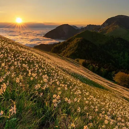 Casa de Campo Country House Dovje *