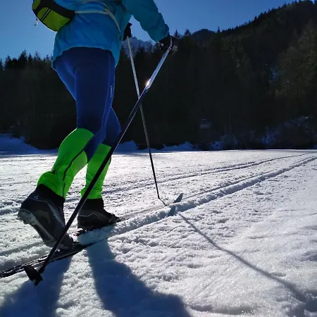 Country House Dovje *