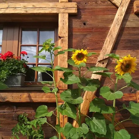 Country House Dovje Dovje