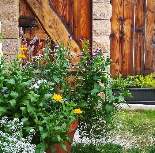 Country House Dovje Летний дом *