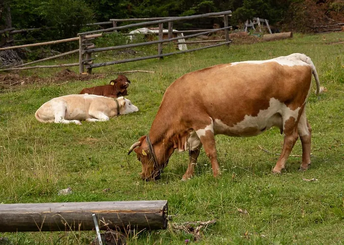 Country House Dovje * Довье