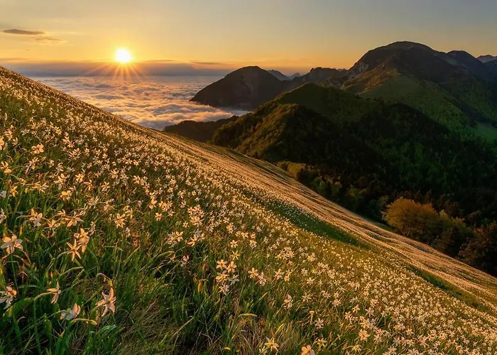 Εξοχικό σπίτι Country House Dovje *