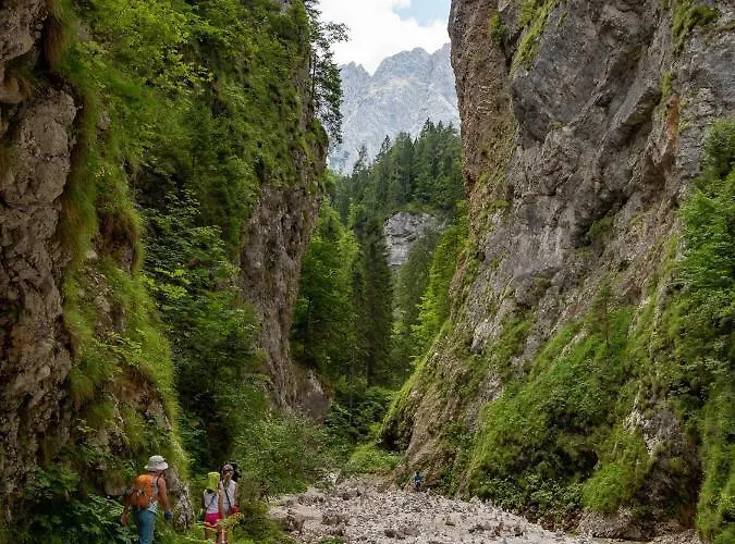Country House Dovje Dovje