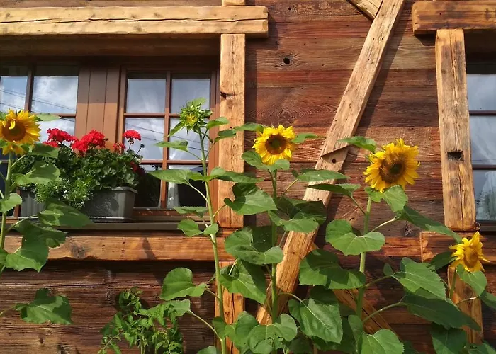 Country House Dovje Dovje