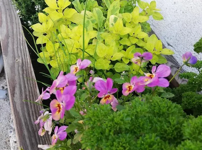 Country House Dovje Hétvégi ház