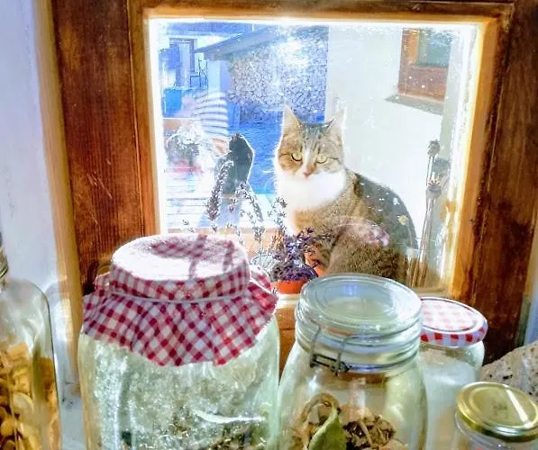 Εξοχικό σπίτι Country House Dovje Dovje